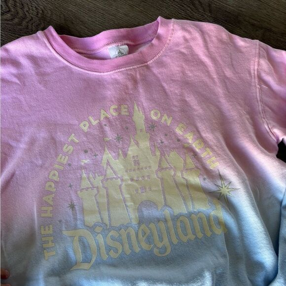 Disney Sweaters - Disneyland Crewneck Sweater